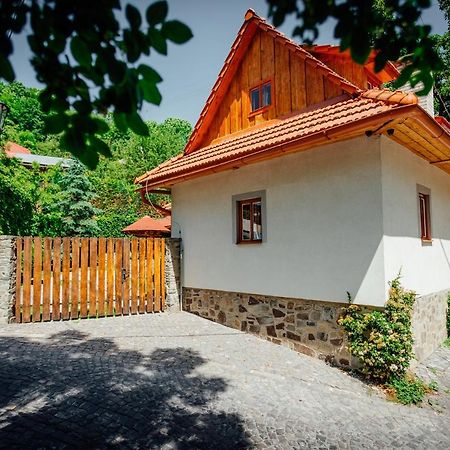 Villa Stará mýtnica Banská Štiavnica Exterior foto